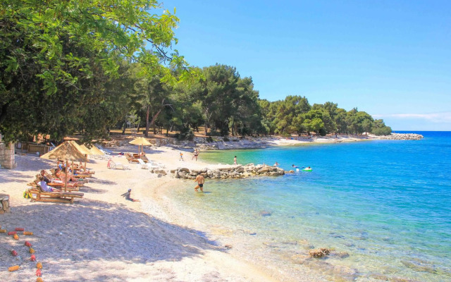 Sunny & Charming Apartment with 2 free bikes