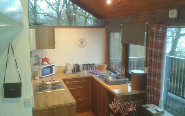 Loch Aweside Forest Cabins