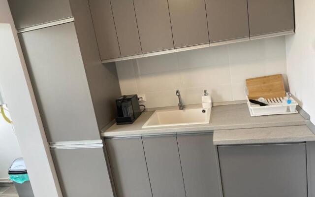 Alesandru apartament