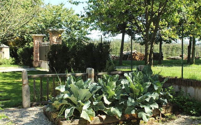 B&B La Casa delle Grottesche