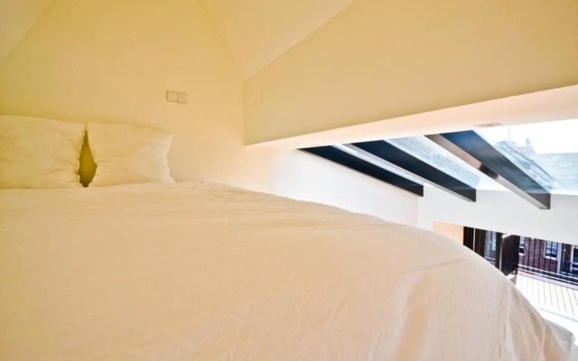 Fantastic Bright Penthouse