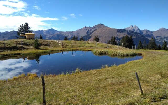 Alpenchalet Weidhaus