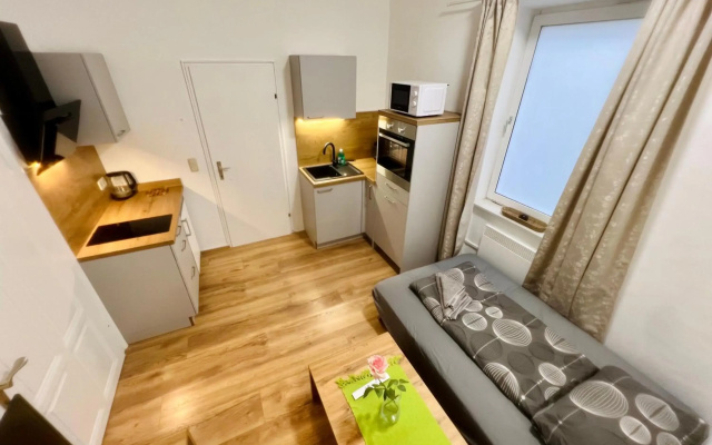 Apartment Loser im Zentrum