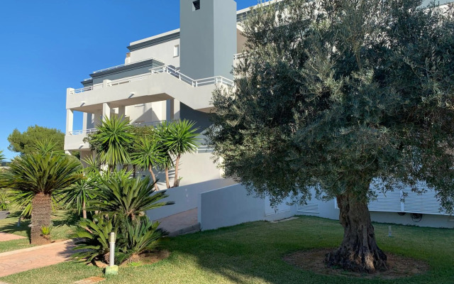 Blue Oliva Nova MET & Golf