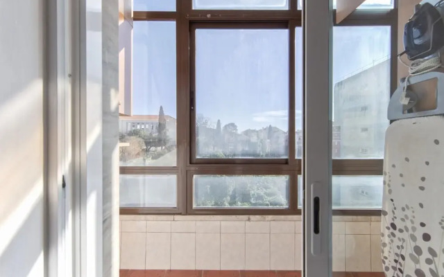 Ajuda Typical by Homing