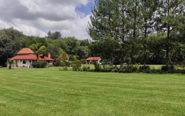 Cabañas los cactus 2