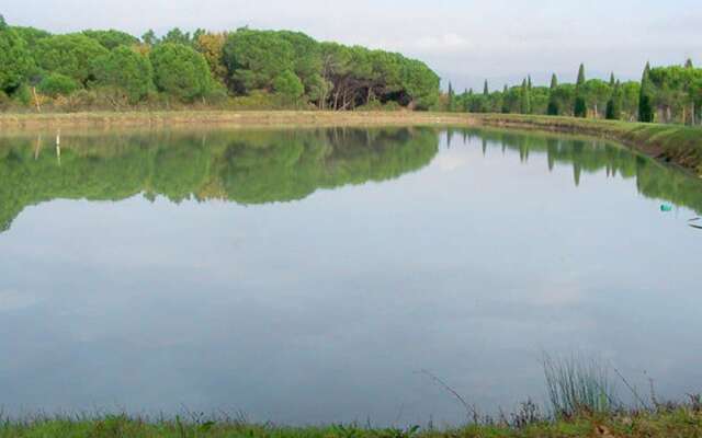 Vibrant Holiday Home in Castiglione del Lago