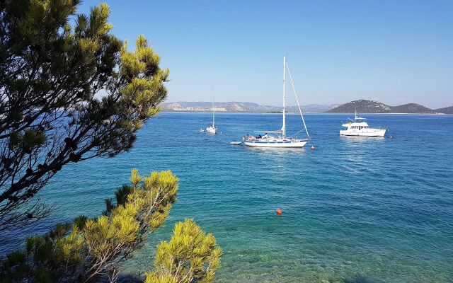 Apartment Ivo - relaxing & comfortable: A1 Vrgada (Island Vrgada), Riviera Biograd