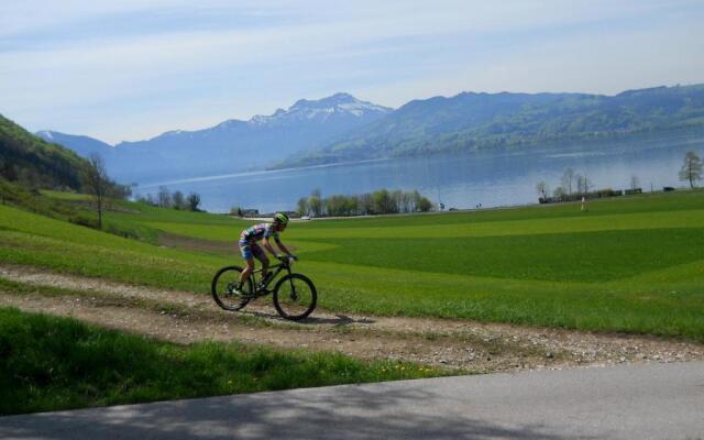 Gasthof-Hotel Bramosen