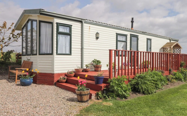 The Cabin