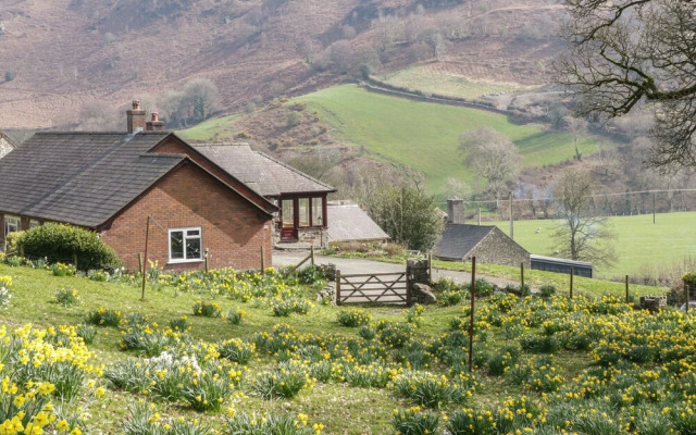 Cwm Heulog