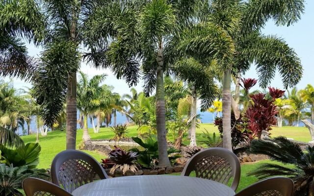 Oceanfront Vacation Rental