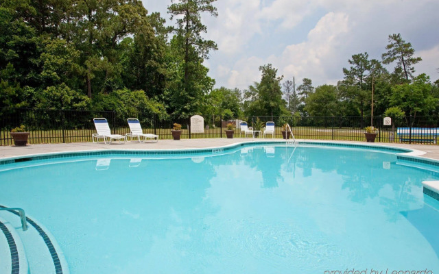 Holiday Inn Express Hotel & Suites Houston-Kingwood