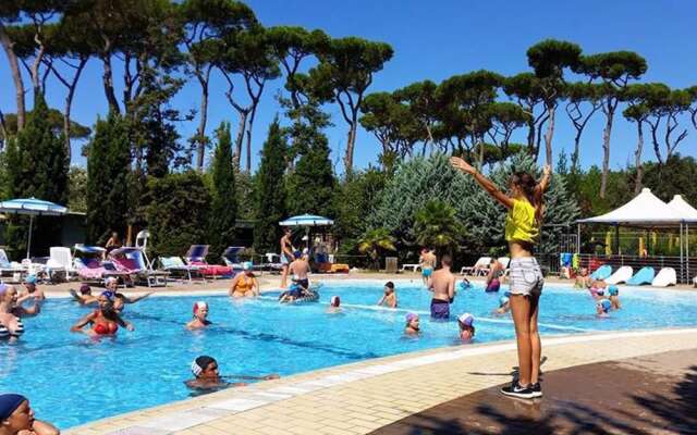Comfortable Campsite-chalet G12 Tuscany Near sea
