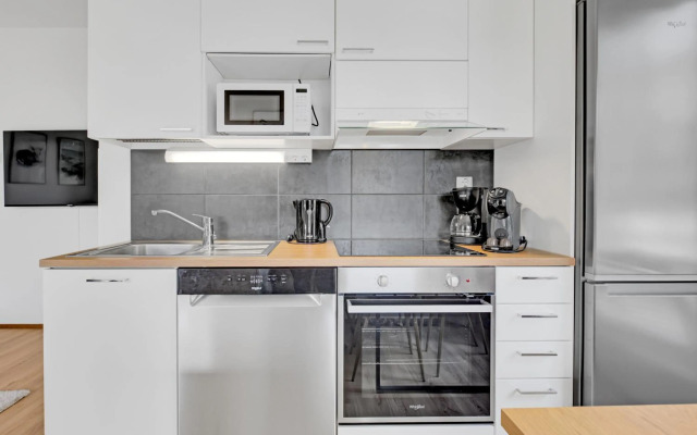 Apartment Scandinavia III