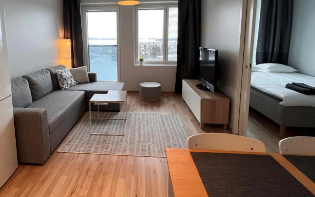 City apartment with lake view and free parking