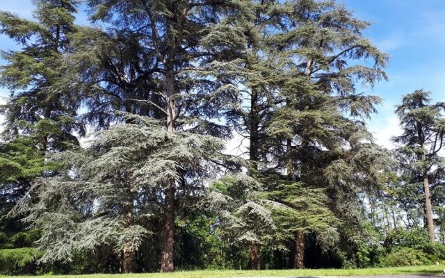 Le Jardin Des Cèdres