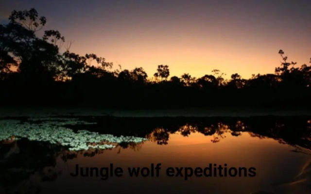 Lodge Jungle Wolf Expeditions