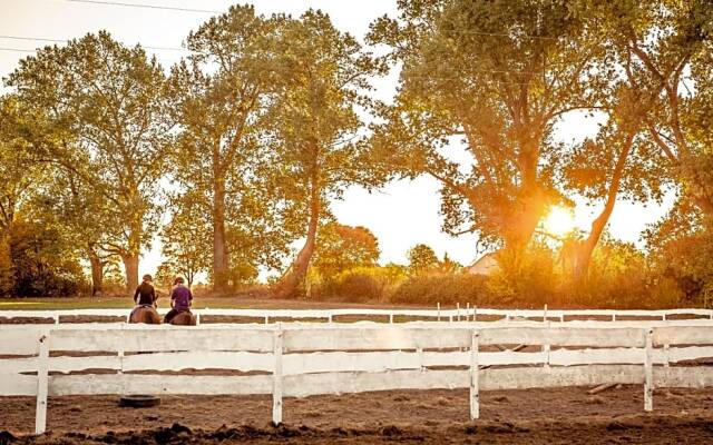 Hotel & Spa Dwór Droblin