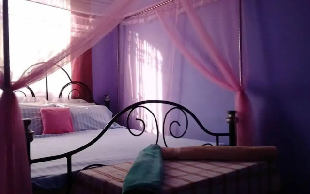 View Mountain House - Backpackers