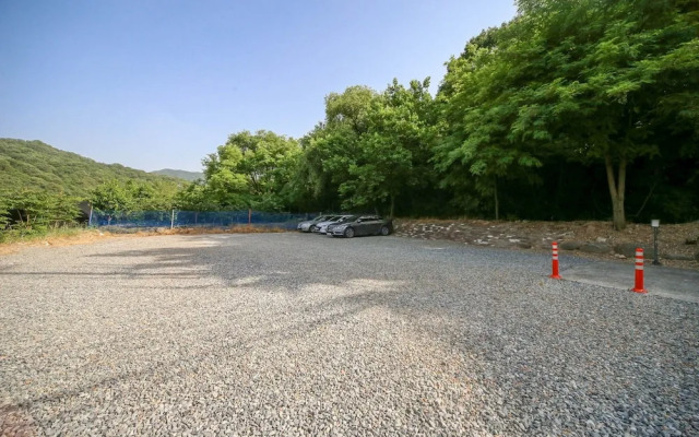 Gumi Geumosan Pink Rose