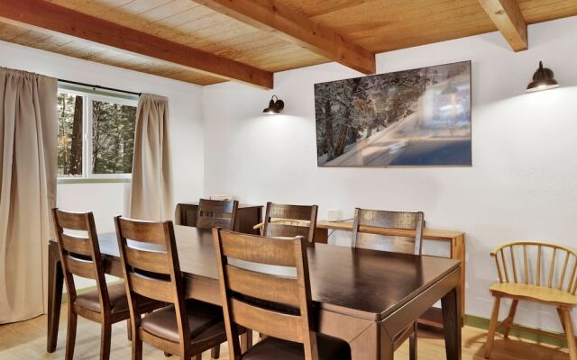 Midnight Pines #2424