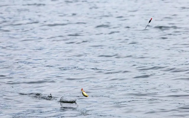 Pokoje gościnne Herta