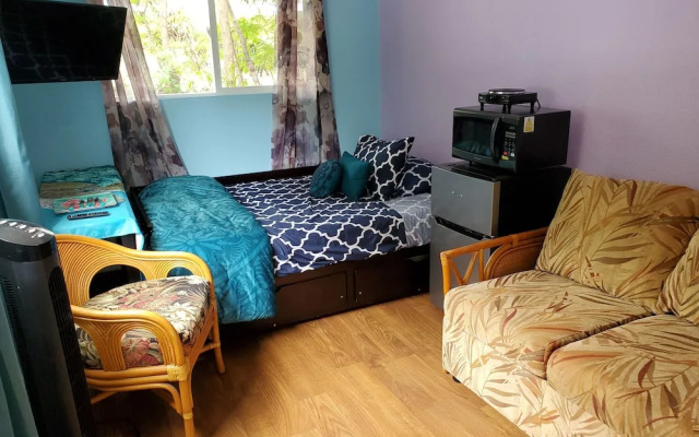 Yonegan Central Maui Getaways