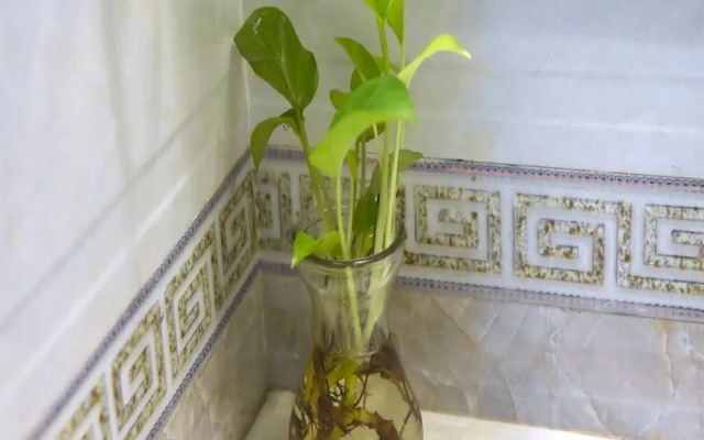Sao Hotel Nguyen Ngoc Vu