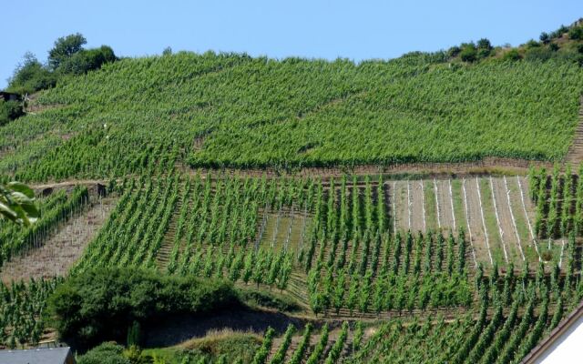 Relaxen im Winzerdorf Mayschoss Fewo OG