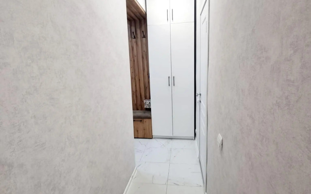 Apartments on 85A Chistopolskaya street