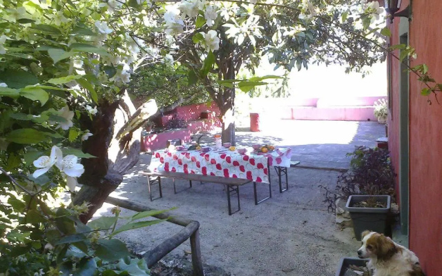 Casa Amoreira - Quinta Amoreira