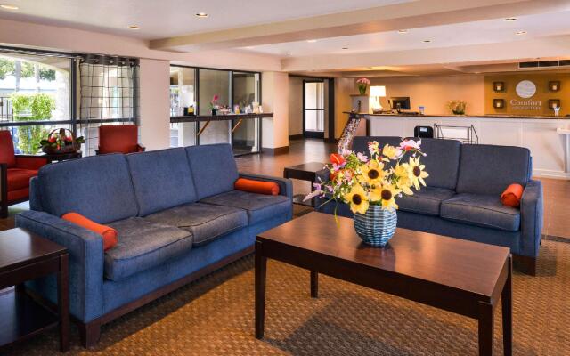 Comfort Inn & Suites Rancho Cordova - Sacramento