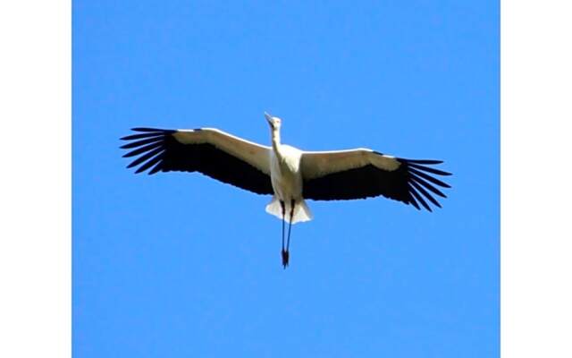 Pure Hotel - Vacation STAY 44187v