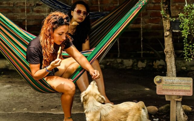 Hospedería Sol Del Desierto - Hostel