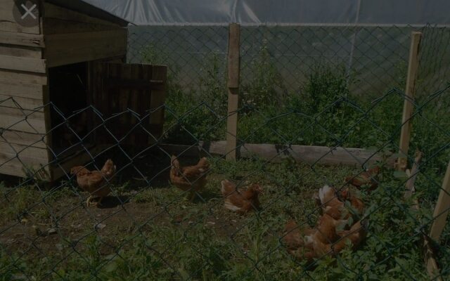 Affittacamere Paradiso