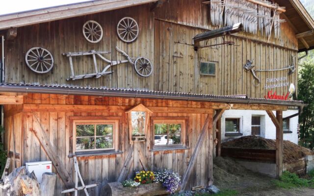 Haflingerhof Almrose (KNT102)