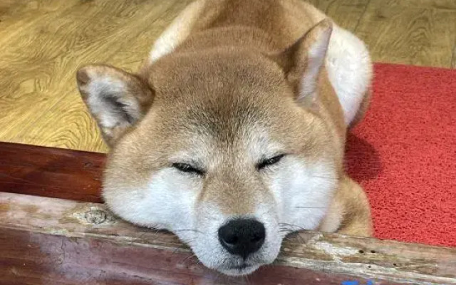 Wengu 1970 Panorama Holiday Hotel