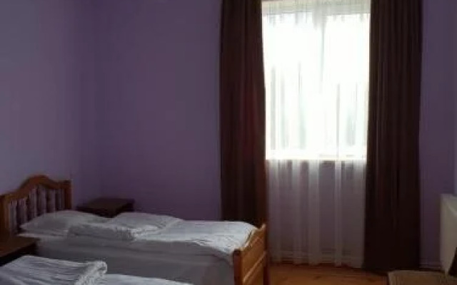 Tsitsia and Stepan Guest House