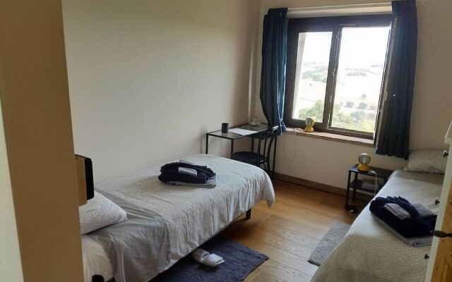 Il Gallo Silvestre - Bed&Books