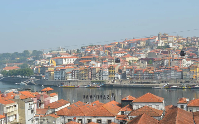 Modern and Cozy Apartment