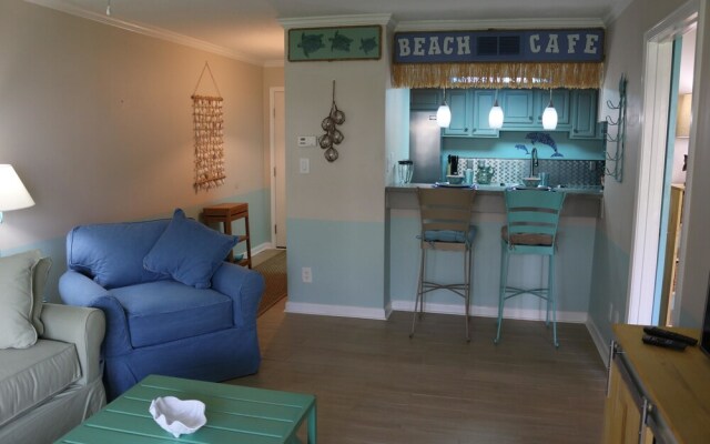 Sand Dollar by Surfside VR