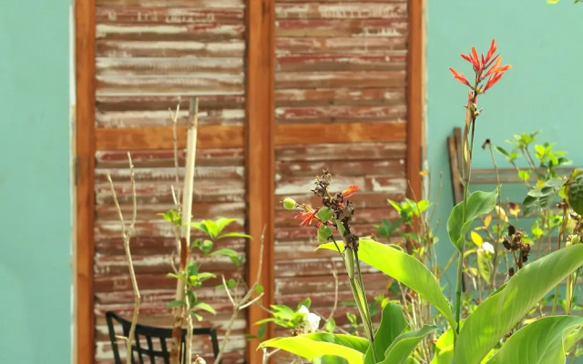 Casa Alma Zen - Hostel Boutique
