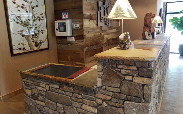 Holiday Inn Asheville East-Blue Ridge PKWY by IHG