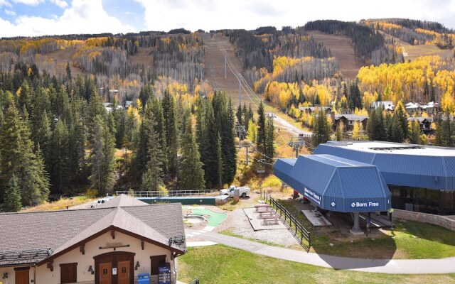 Lionshead Center #304 2 Bedroom Condo by RedAwning