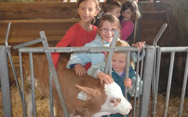 Appartements Obergollerhof