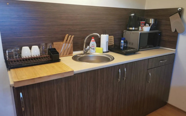 Pirin and Bansko view Studio