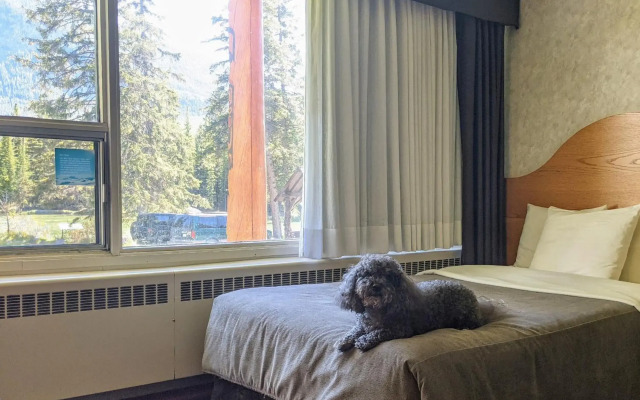 Bow View Lodge