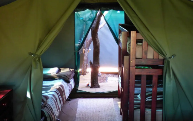 Thorn Tree Bush Camp