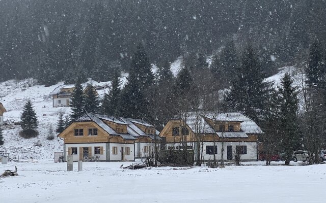 Stunning Chalet in Donnersbachwald Styria With Sauna